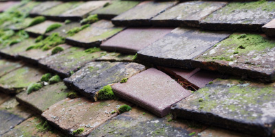 Rolstone roof repair costs